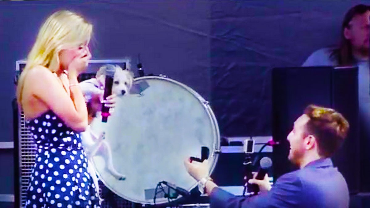 Kaleb Nation proposes to Taylor on stage at Digifest NYC 2014